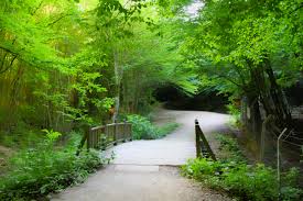 Polonezköy Tabiat Parkı